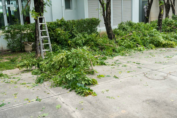 Seasonal Cleanup (Spring/Fall) in East Washington, PA